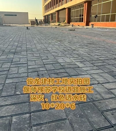 偃師豫蘇學(xué)校道路施工 深灰、紅色透水磚 10*20*6