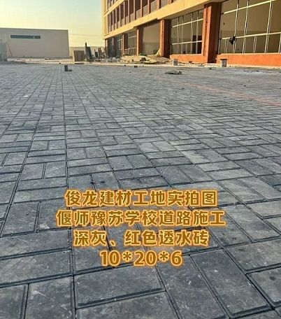 偃師豫蘇學(xué)校道路施工 深灰、紅色透水磚 10*20*6