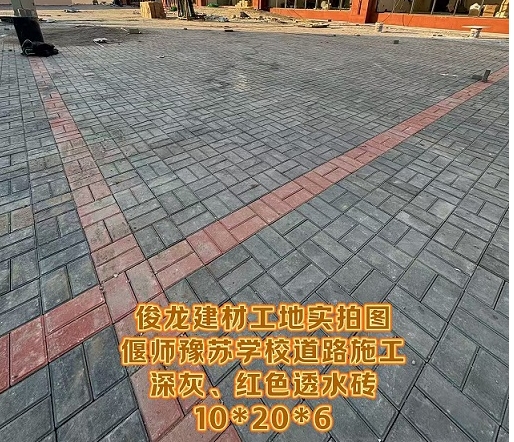 偃師豫蘇學(xué)校道路施工（深灰、紅色透水磚 10*20*6）